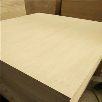 Plywood for Container Floor with Good Price